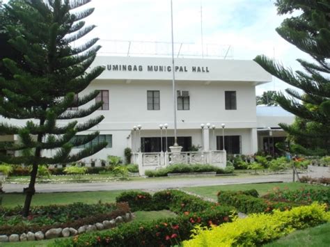 municipalities of zamboanga del sur|Dumingag .